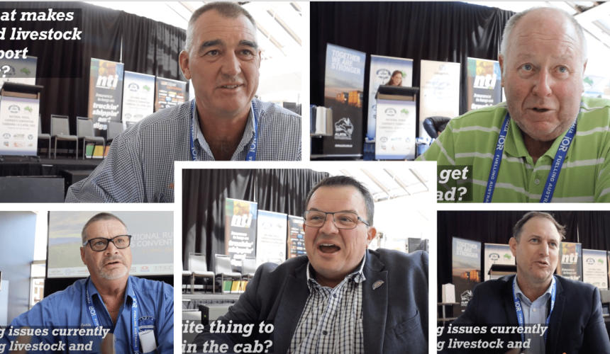 What makes a good livestock transport driver?  6 questions to 5 rural transporters VIDEO